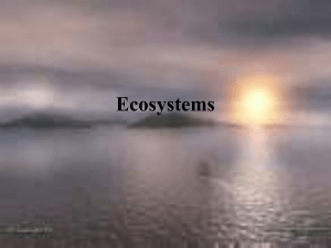 Ecosystems and cycles Powerpoint