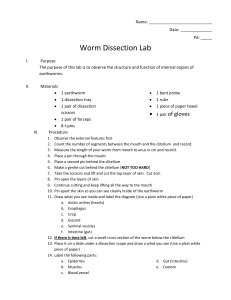 worm lab outline