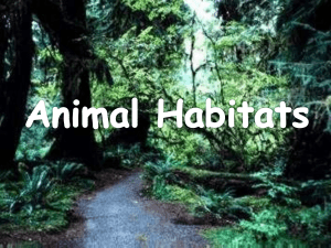 animal habitats pp