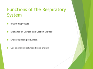 respiratory system review - allied (1)
