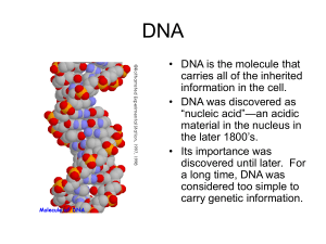 DNA b