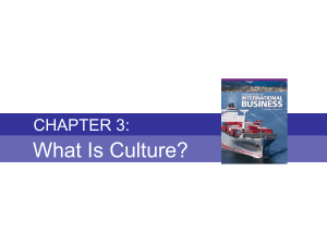 Chapter 3 - What is Culture