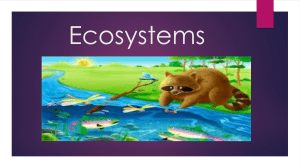 Ecosystems ppt