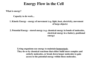 EnergyFlow