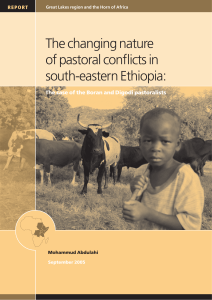 Changing nature of pastoralist conflicts in SE Ethiopia