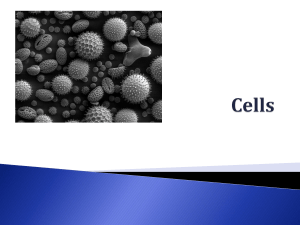 Cells 2016