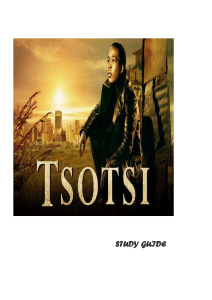 Tsotsi Class Notes without Character Analysis