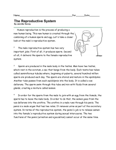 Reproductive Guided Reading
