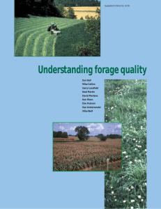 Undertanding forage quality