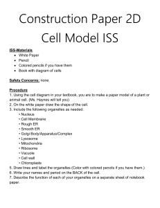 2D Cell Model Construction Paper 