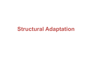 Structural Adaptation of animals