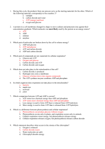 ATP worksheet answers