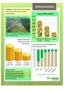 Facts&worksheet deforestation