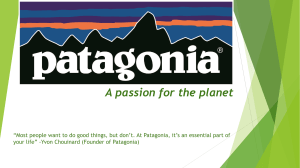 Patagonia Inc