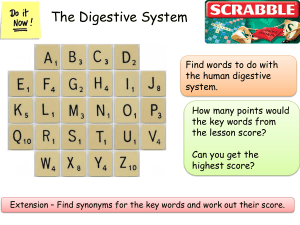 Digestive System A Level Revision