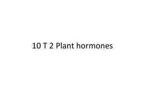 10 t2 plant hormones