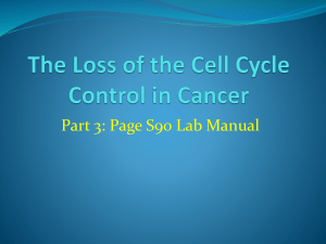 The Loss of the Cell Cycle Control