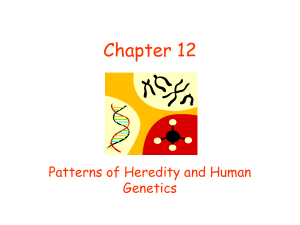  Patterns of Heredity and Human Development