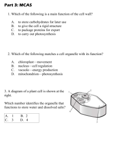 Cell MCAS Questions