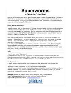 carolina-biological-superworms-data-sheet