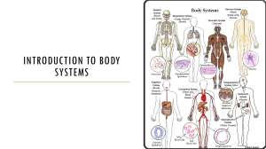 Introduction to body systems