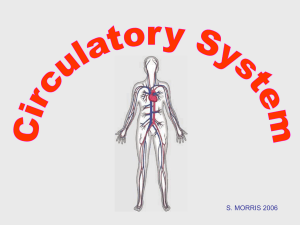Circulatory System 2018 2019