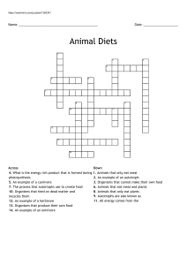 Animal Diets Crossword Puzzle
