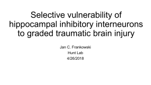 Selective vulnerability of inhibitory interneurons to graded traumatic