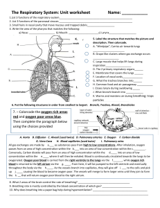 Respiratory Worksheet2019
