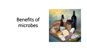 uses of microbes