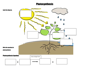 07-Photosynthesis Cut and Paste sheet