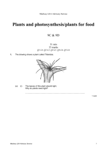 year 9 - plants and photosynthesis - plants for food