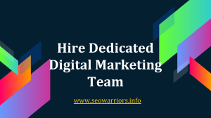 Hire Dedicated Digital Marketing Team | SEOWarriors