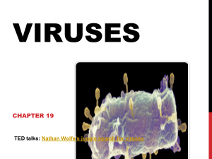 Ch. 19 Viruses
