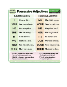 POSSESSIVE Adjectives C:G