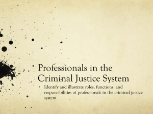 Professionals in the Criminal Justice System 