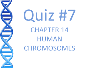 Quiz HUMAN CHROMOSOMES