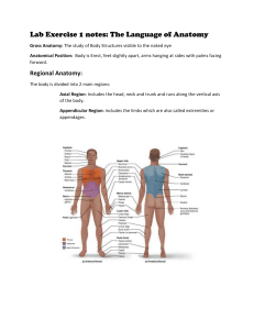 Lab Exercise 1 notes Regions of the Body