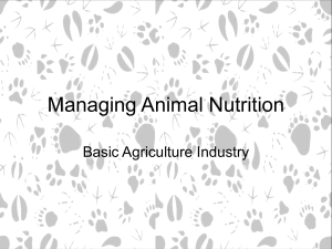 Managing Animal Nutrition