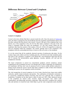 Doc. AP Bio~ Difference between Cytosol + Cytoplasm