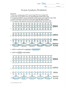 Protein Symthesis Worksheet (3)