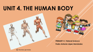 Unit-4-The-human-body