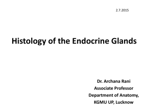 Histology of Endocrine glands