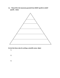 taxonomy pyramid