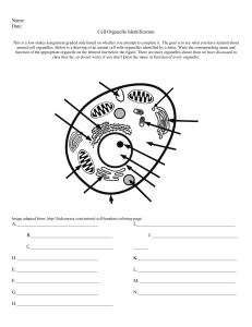 Animal Cell Unit Formative Assessment