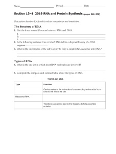 13.9 RNA Homework