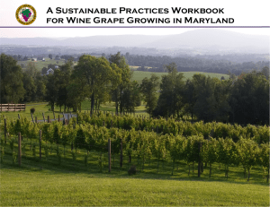 SustainabilityWorkbook