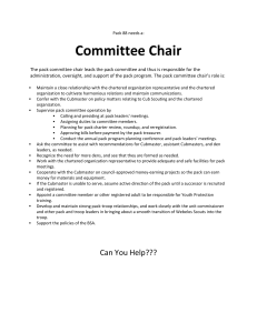 Committee Chair
