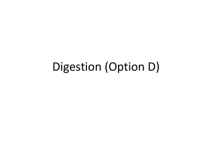 Option D- digestion (1)