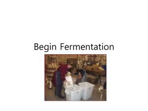 Fermentation and food related produts